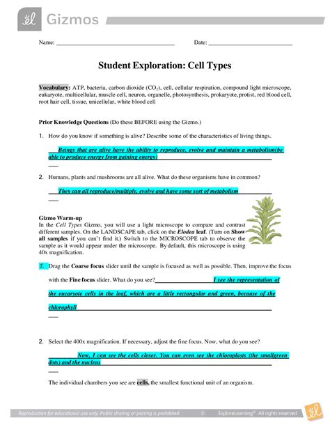 cell types gizmo answers|gizmo cell types answer sheet.